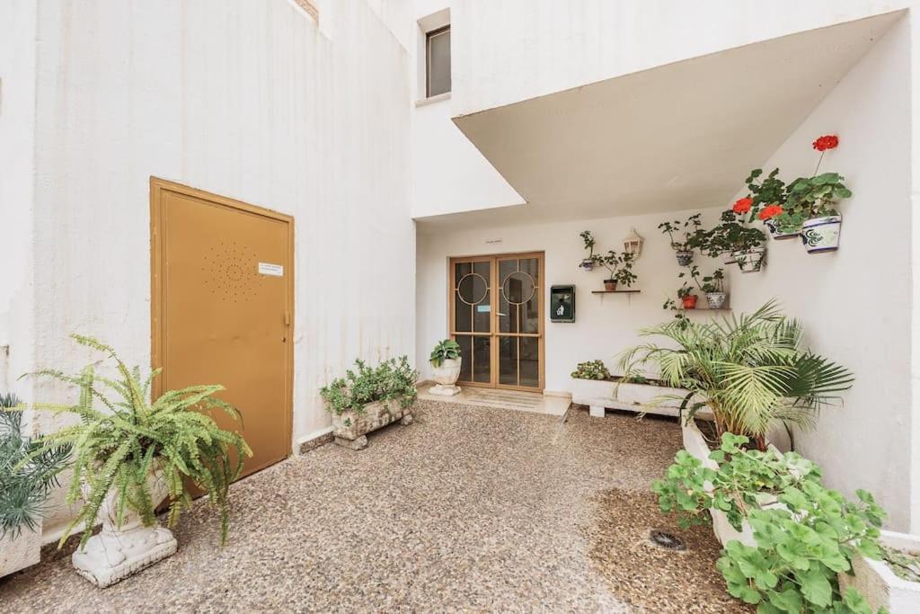 Modern First Line Apartment